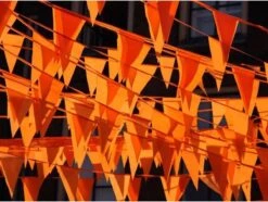 Boland Guirlande De Fête Extérieure En Plastique Orange 10 Mètres - Ligne Du Drapeau Du Jour Du Roi - Décoration Coupe Du Monde / Championnat D'Europe -Boland 1200x905