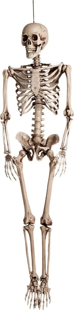 Boland "Décoration à Suspendre Squelette Pour Halloween! - Article De Décoration De Fête - Taille Unique"