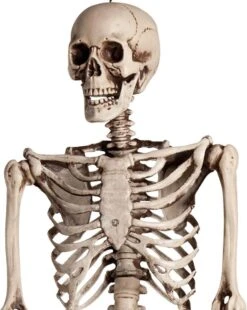 Boland "Décoration à Suspendre Squelette Pour Halloween! - Article De Décoration De Fête - Taille Unique" -Boland 957x1200