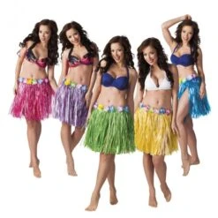 Boland Jupe Hawai Violette 45cm -Boland jupe hawai violette fleurs 45cm 2