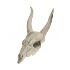 Boland Tête De Bétail Résine Squelette 3D