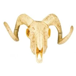 Boland Tête De Bétail Squelette 3D